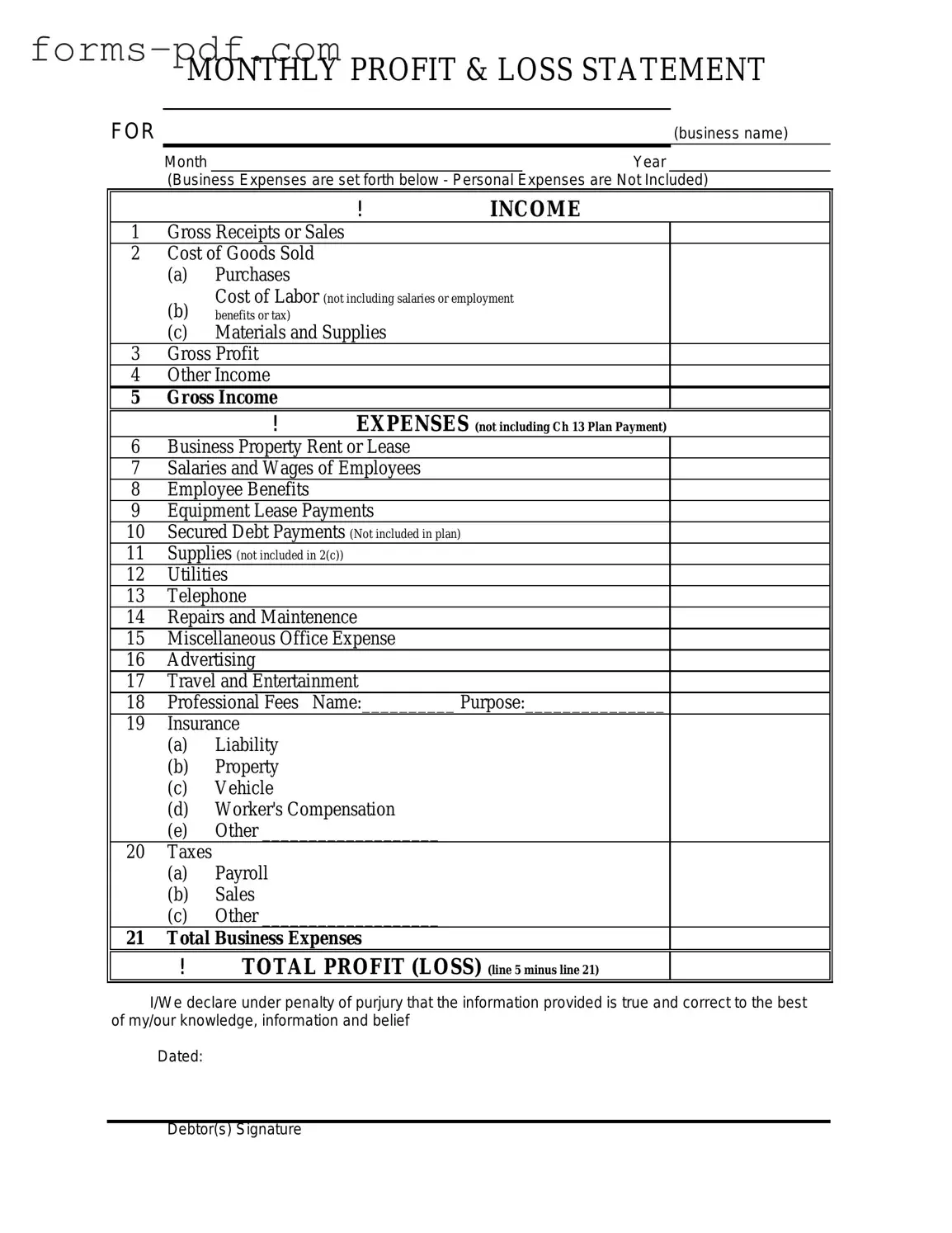 Profit And Loss PDF Form