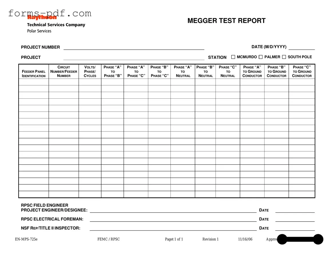 Megger Test PDF Form