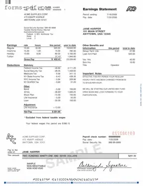 Adp Pay Stub PDF Form