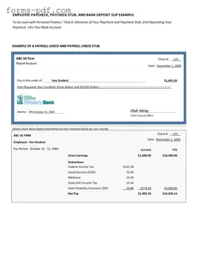 Payroll Check PDF Form