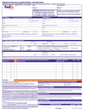 Fedex Bill Of Lading PDF Form