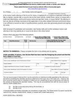 Florida Vehicle POA form 82053 PDF Form
