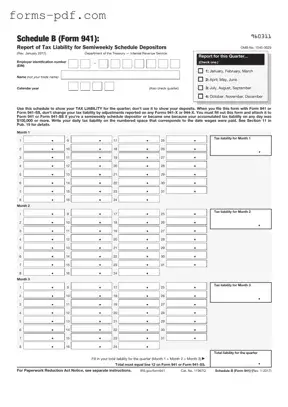IRS Schedule B 941 PDF Form