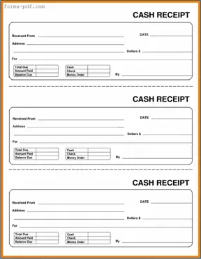 Cash Receipt PDF Form