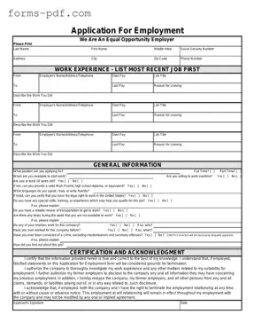 Spanish Application Employment PDF Form