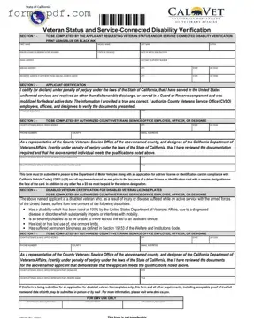 Vsd 001 PDF Form